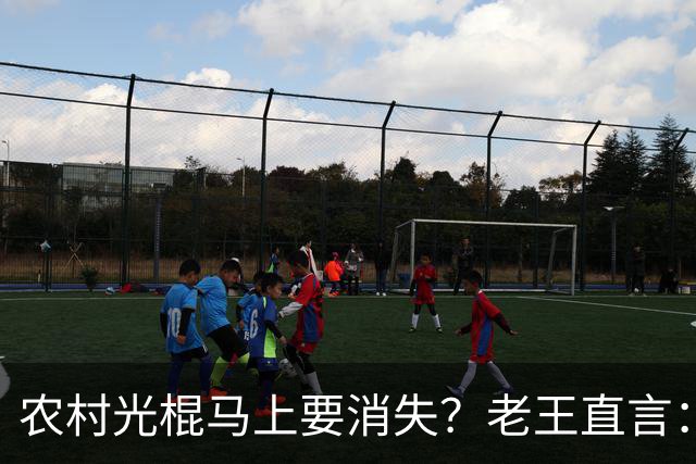 农村光棍马上要消失？老王直言：这几个原因很现实