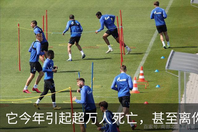 它今年引起超万人死亡，甚至离你我也只有一步之遥？